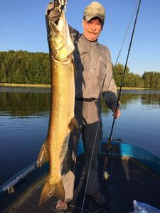 Big Musky Reeled From Wisconsin Waters 